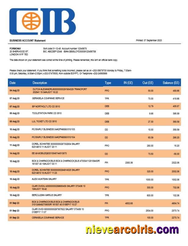 CIB Bank enterprise account statement